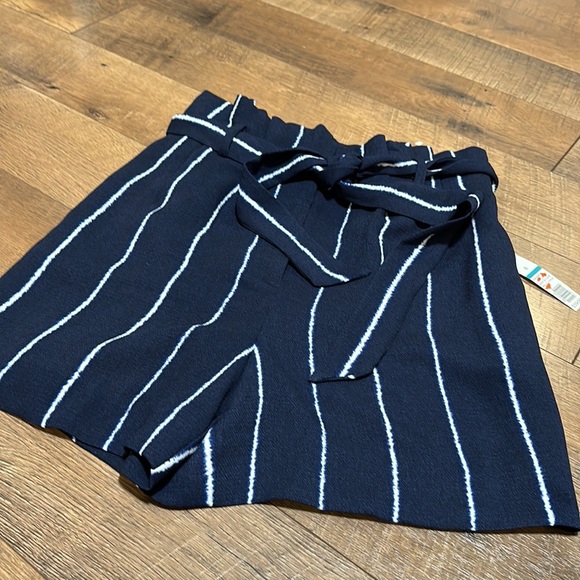 The Limited Striped Shorts - Picture 2 of 4
